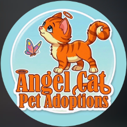 Angel Cat Pet Adoptions