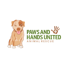 shelter logo