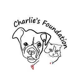shelter logo