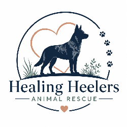shelter logo