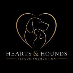 shelter logo