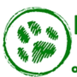shelter logo