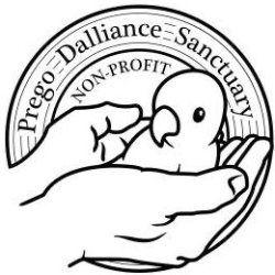shelter logo
