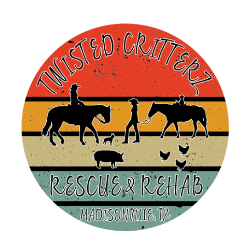 shelter logo