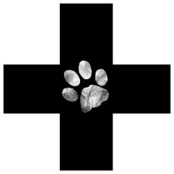 shelter logo