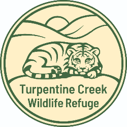 shelter logo