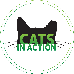 Cats in Action
