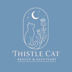 shelter logo