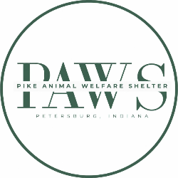 shelter logo