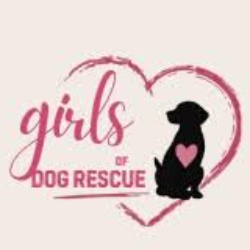 Girls of Dog Rescue