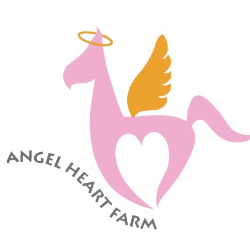 shelter logo