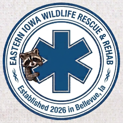 Eastern Iowa Wildlife Rescue and Rehab