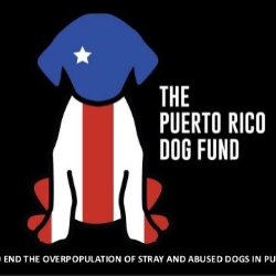 The Puerto Rico Dog Fund