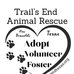 shelter logo