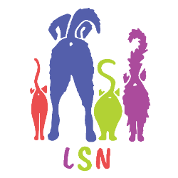 shelter logo