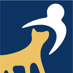 shelter logo