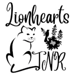 shelter logo