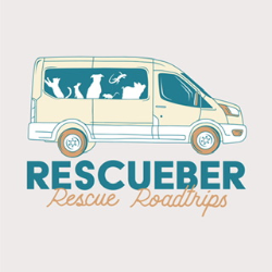 shelter logo