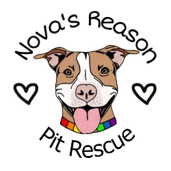 shelter logo