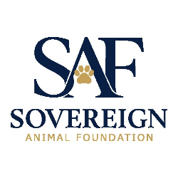 shelter logo