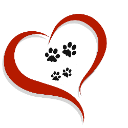 shelter logo