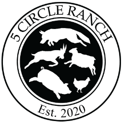 shelter logo