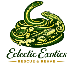 shelter logo