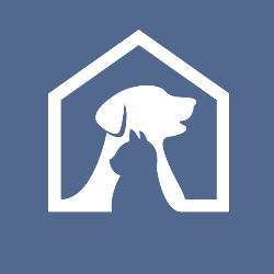 shelter logo