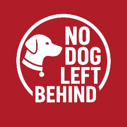 shelter logo