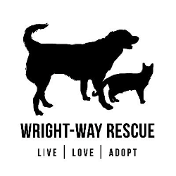 shelter logo