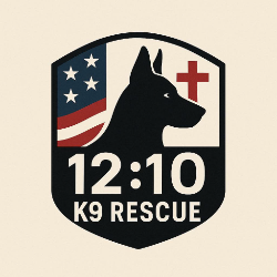 shelter logo