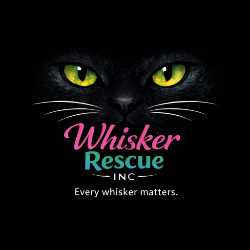 shelter logo