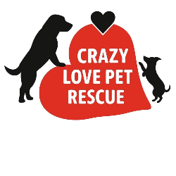 Crazy Love Pet Rescue & Transport