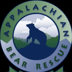 shelter logo