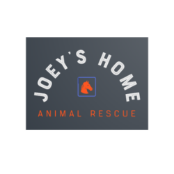 Joey's Home Animal Rescue