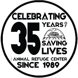 shelter logo