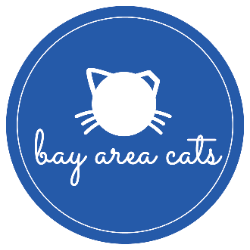 shelter logo