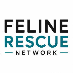 shelter logo
