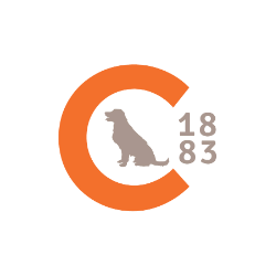shelter logo