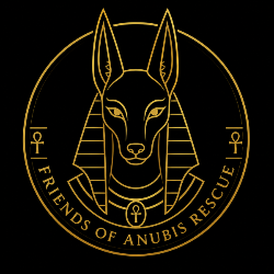 shelter logo