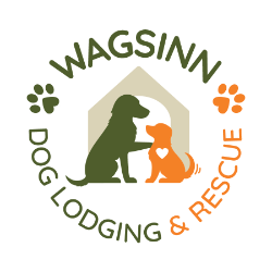 shelter logo