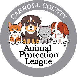 shelter logo