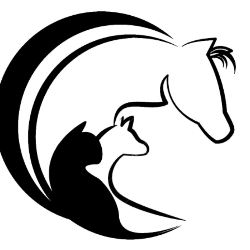 shelter logo