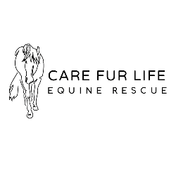shelter logo