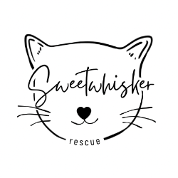 shelter logo
