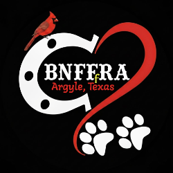 shelter logo