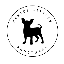 shelter logo