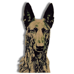 Ninja's Woof Haus