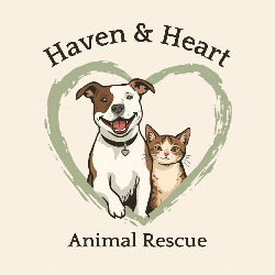 shelter logo