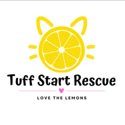 shelter logo